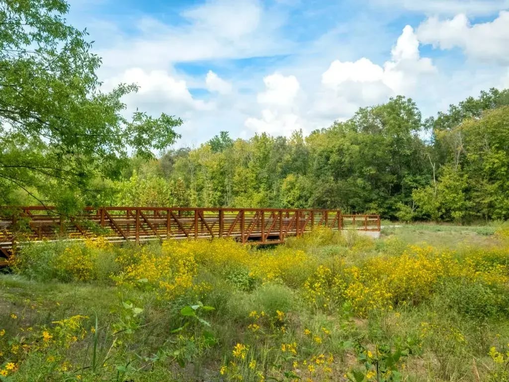 huntersville-nc-AdobeStock_458855629